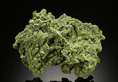CC15671 specimen image