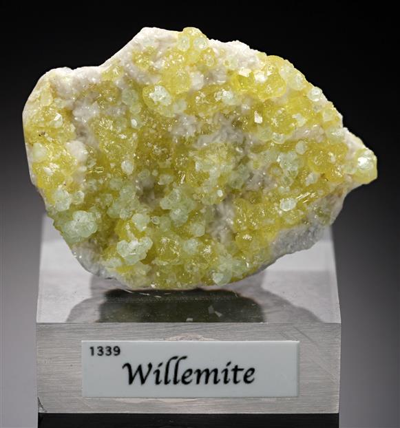 CC15690 specimen image
