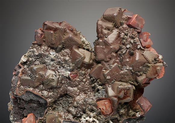 CC15691 specimen image