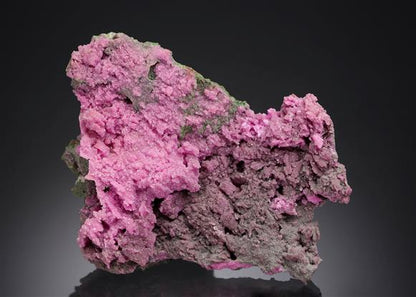 CC15701 specimen image