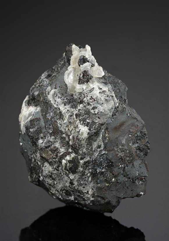 CC15704 specimen image