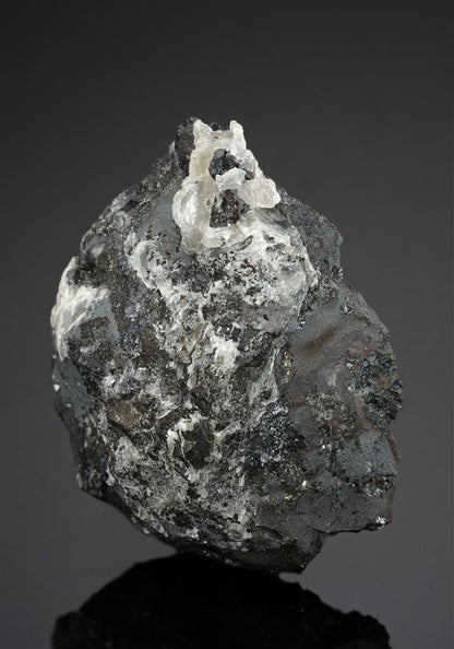 CC15704 specimen image