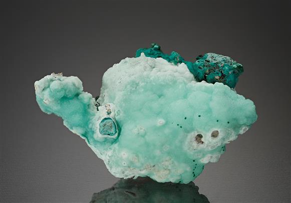 CC15708 specimen image