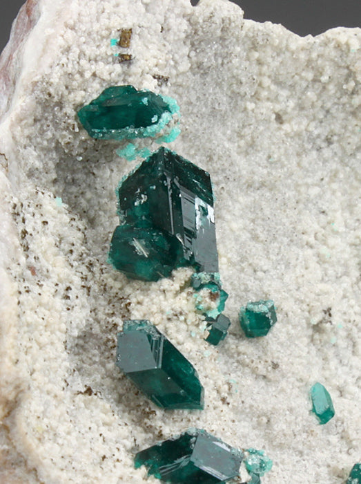 CC1570 specimen image