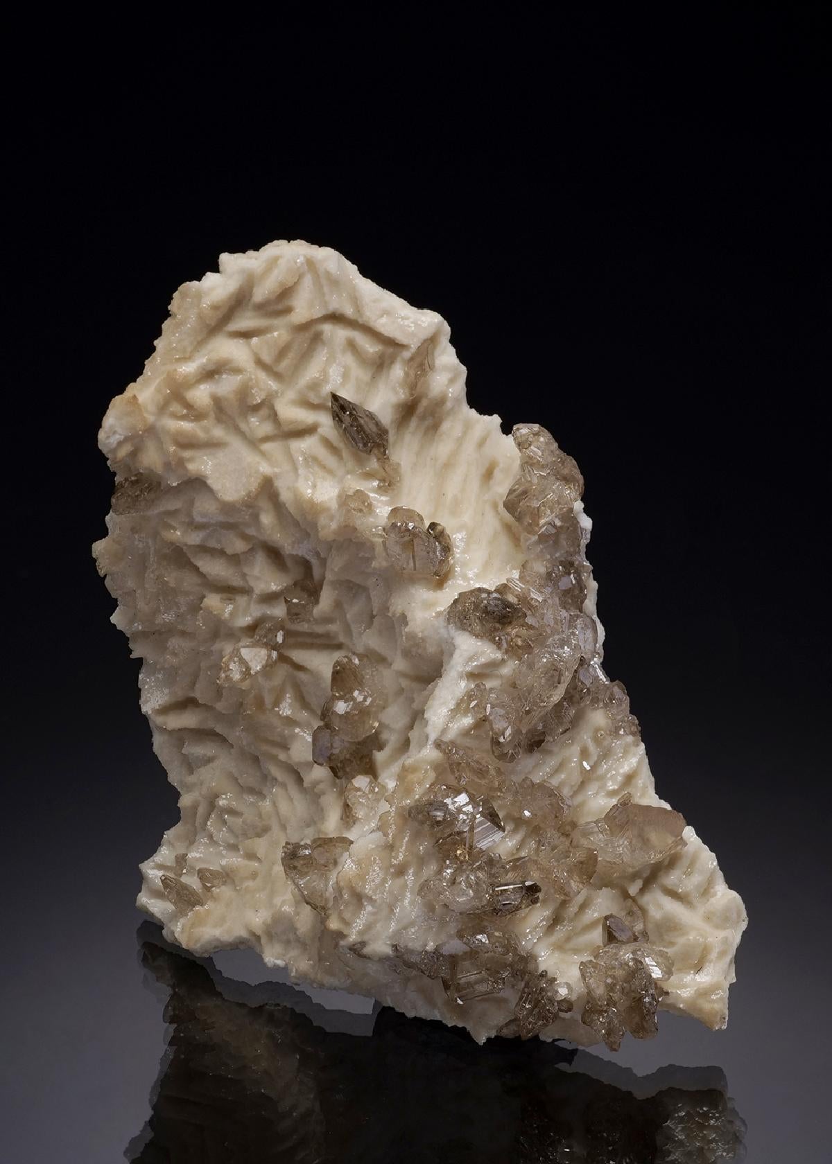CC15718 specimen image