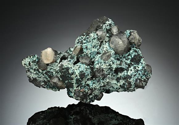 CC15736 specimen image