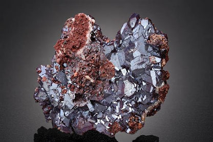 CC15755 specimen image