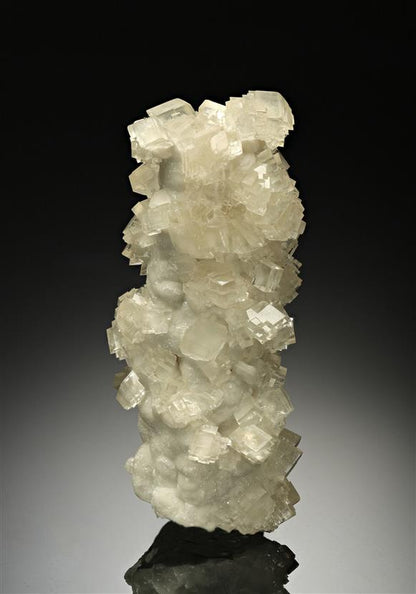 CC15756 specimen image