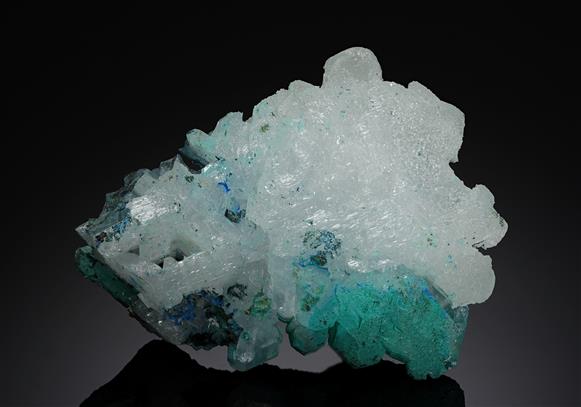 CC15774 specimen image