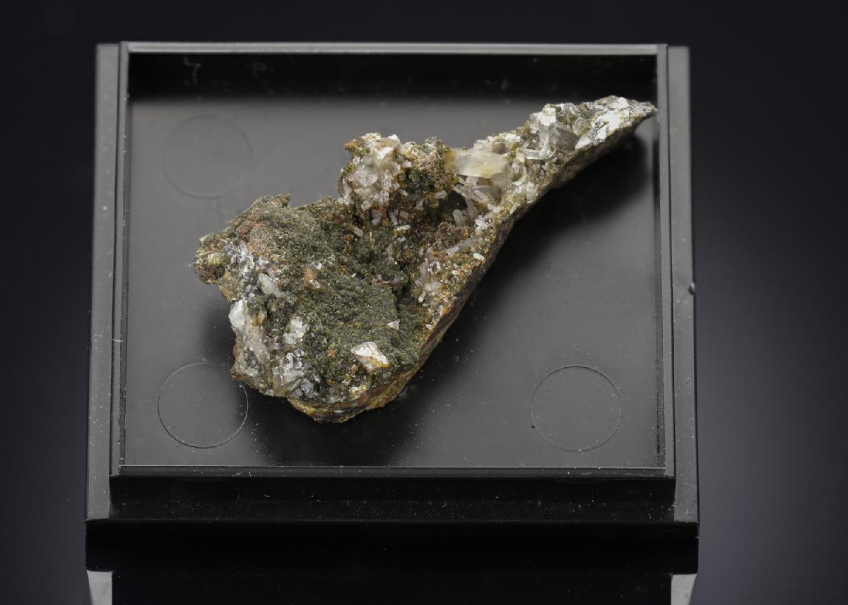 CC15784 specimen image