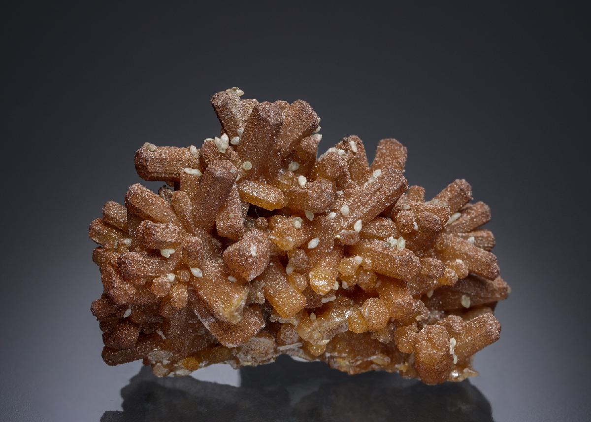 CC15785 specimen image