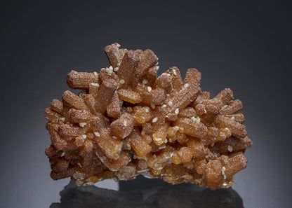 CC15785 specimen image