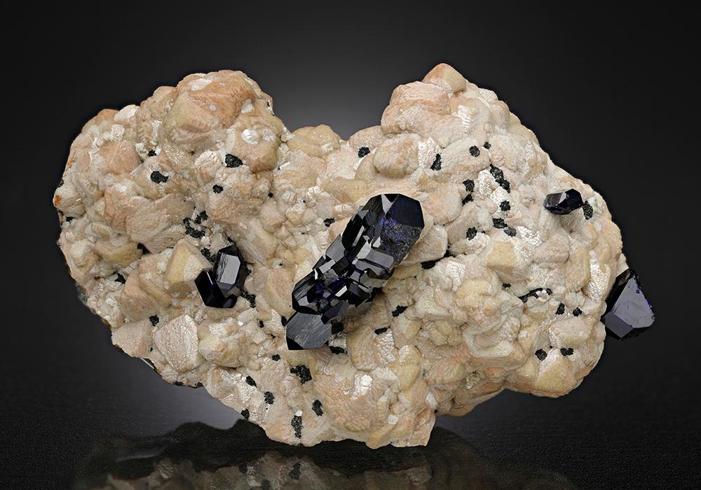 CC15801 specimen image