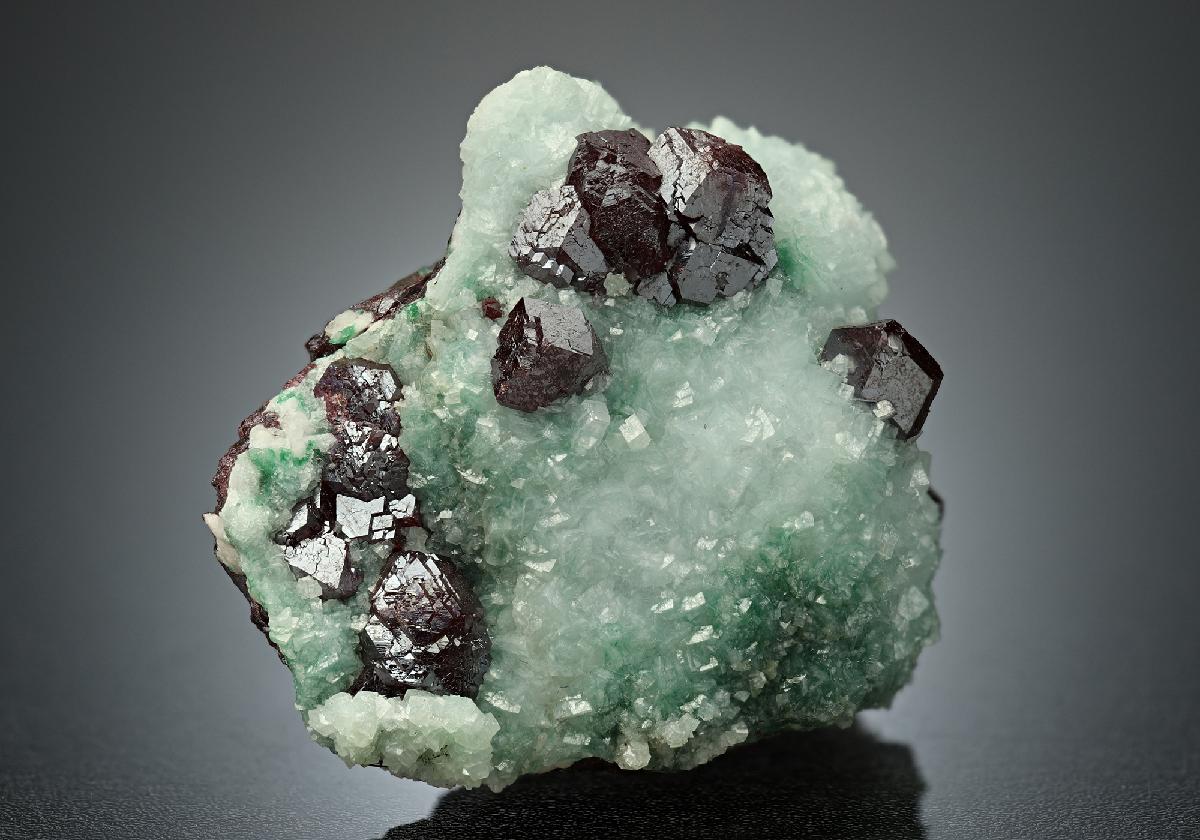 CC15811 specimen image
