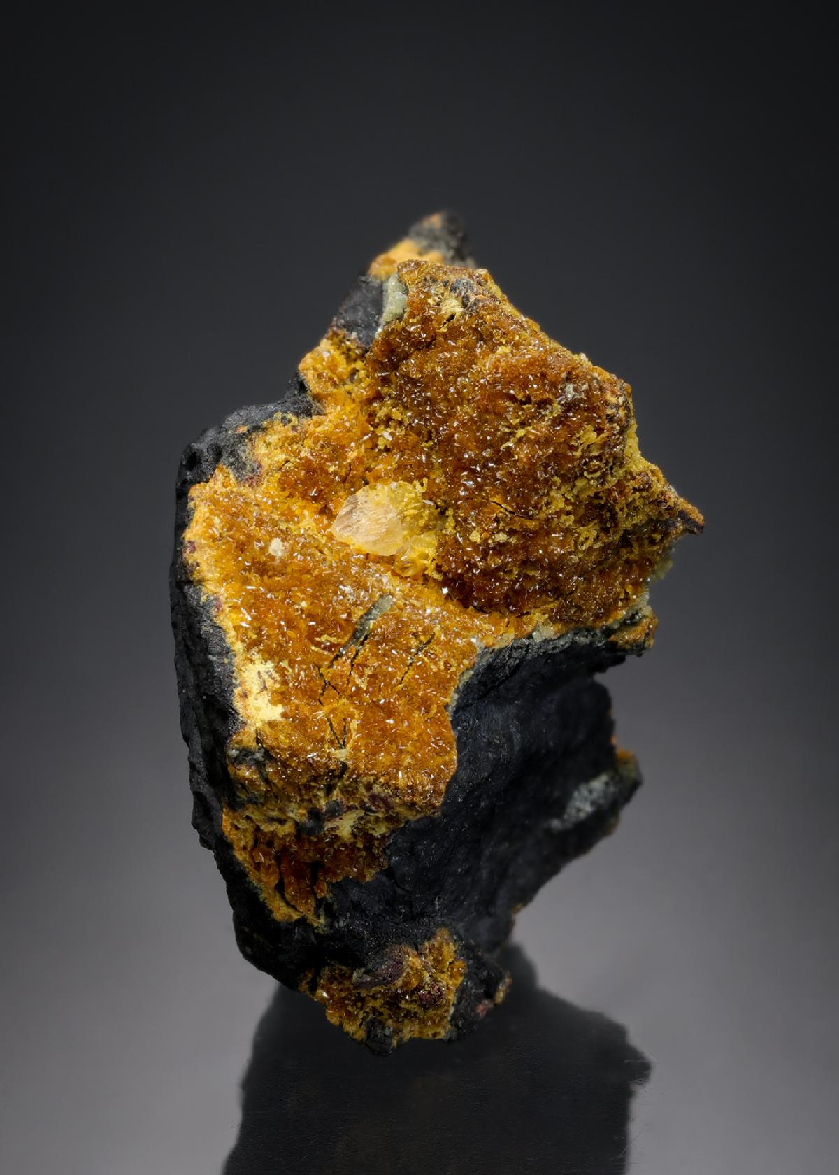 CC15841 specimen image