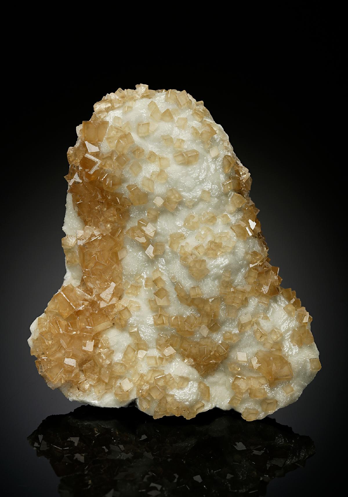 CC15852 specimen image