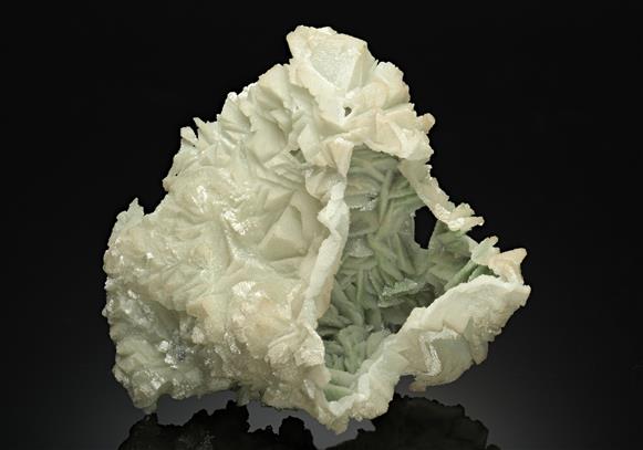 CC15855 specimen image