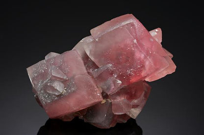 CC15870 specimen image