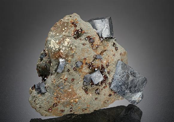 CC15881 specimen image