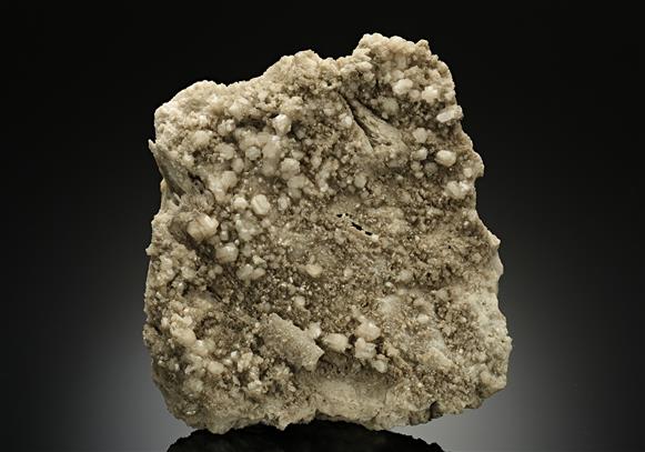 CC15888 specimen image