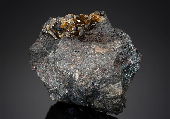 CC15896 specimen image