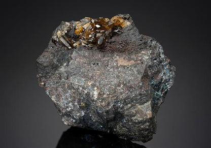 CC15896 specimen image