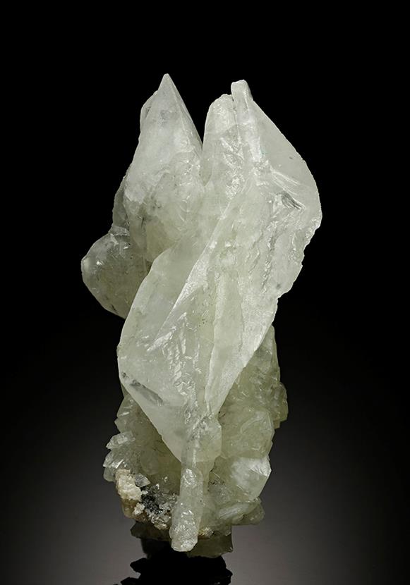 CC15922 specimen image