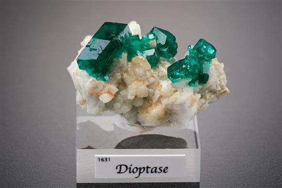 CC15941 specimen image