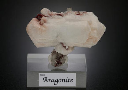 CC15947 specimen image