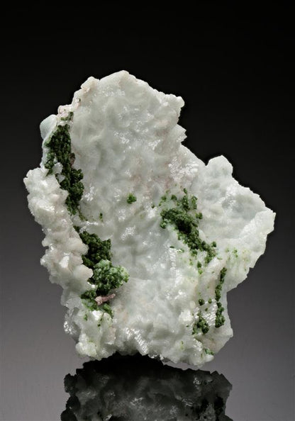 CC15957 specimen image