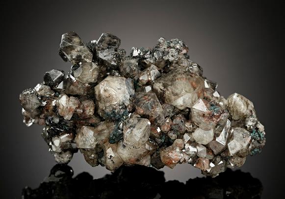 CC15968 specimen image