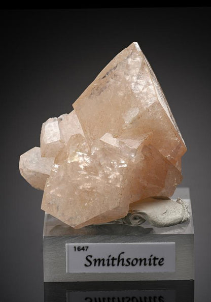 CC16023 specimen image