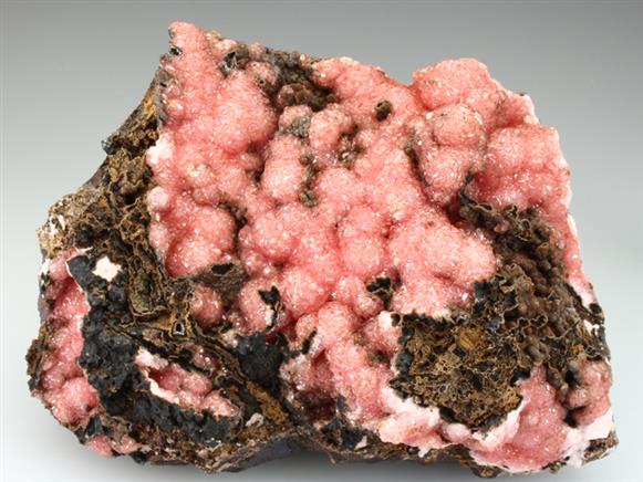 CC1603 specimen image