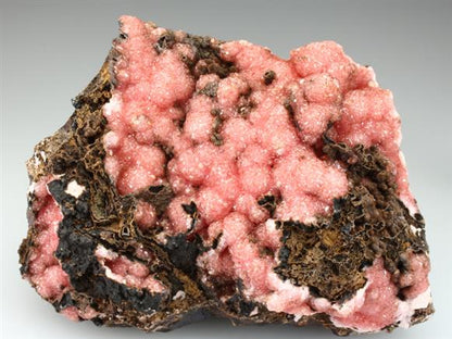 CC1603 specimen image