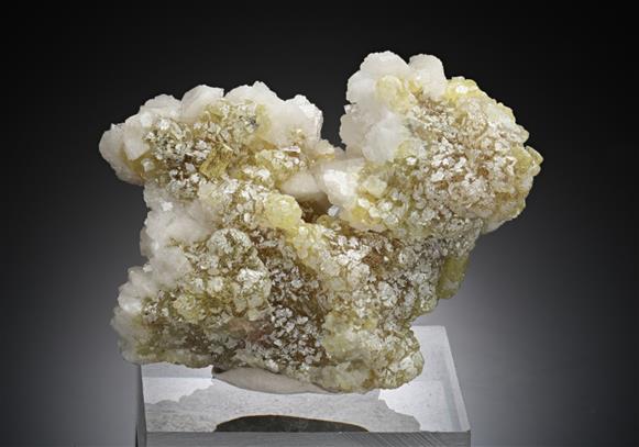 CC16030 specimen image