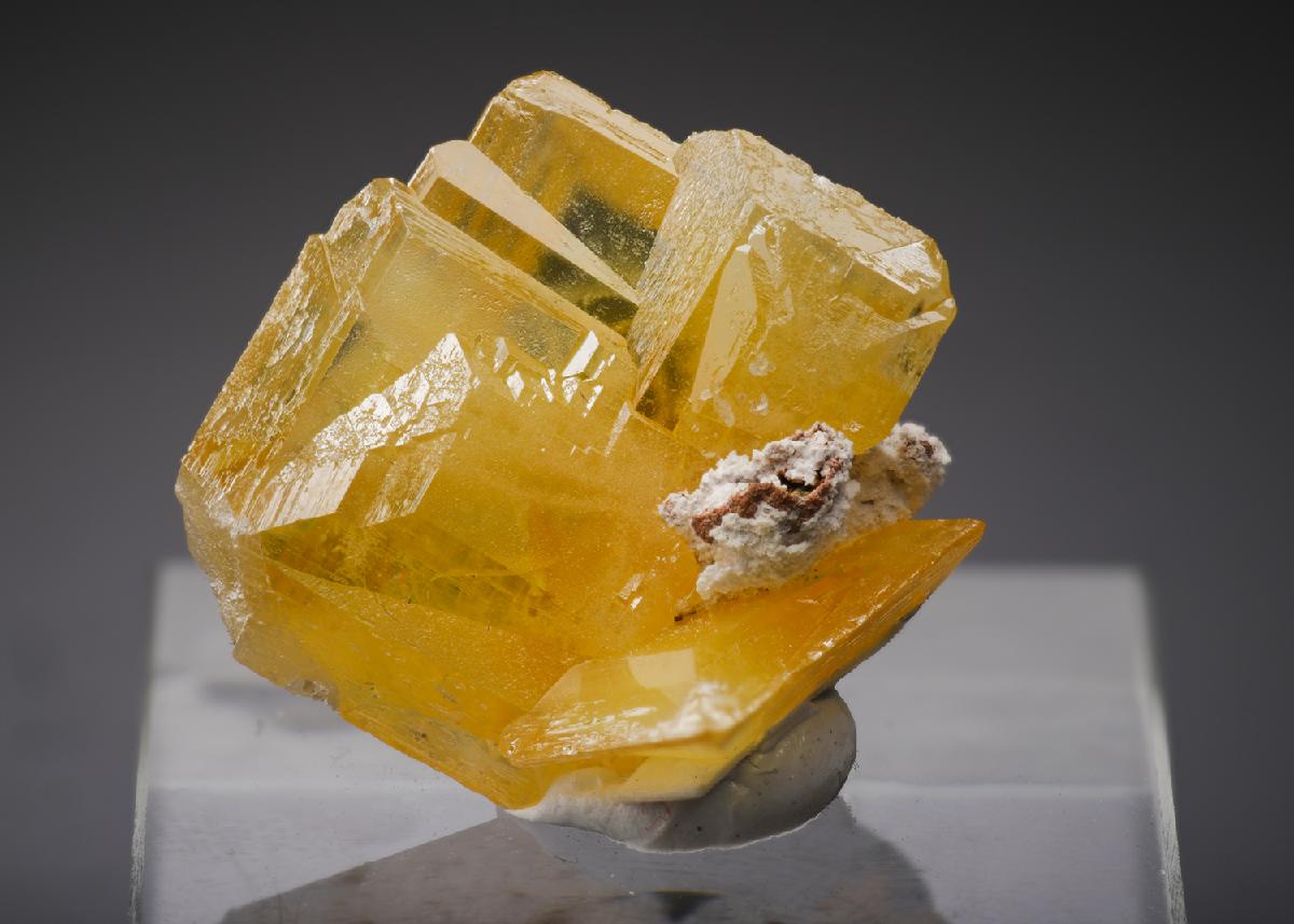 CC16058 specimen image