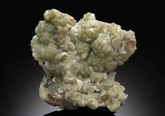 CC16071 specimen image