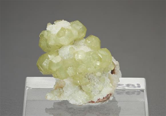 CC16122 specimen image