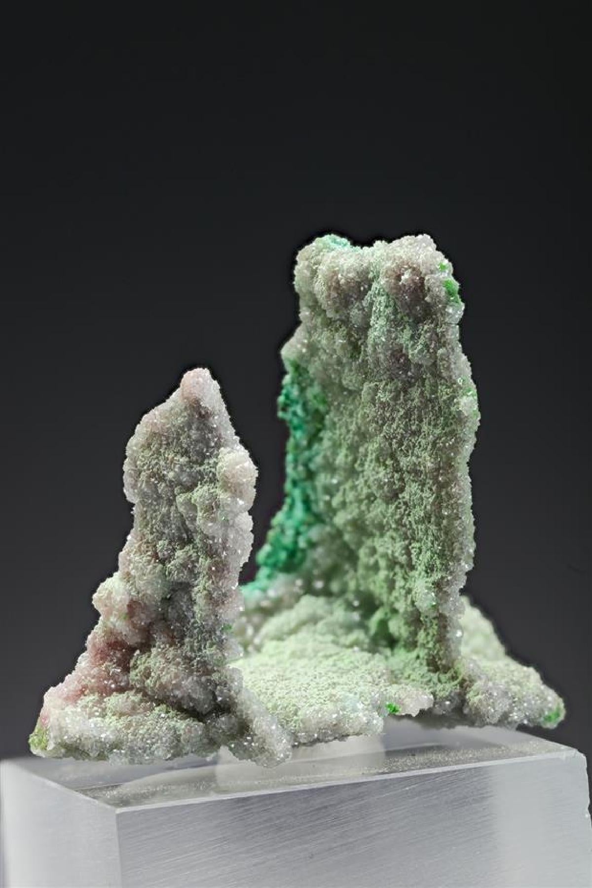 CC16130 specimen image