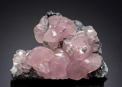 CC16180 specimen image