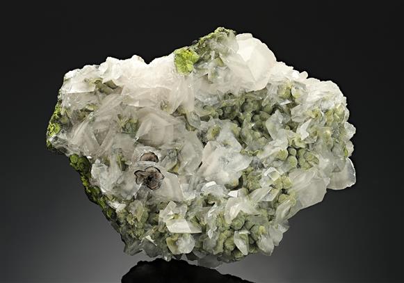 CC16188 specimen image