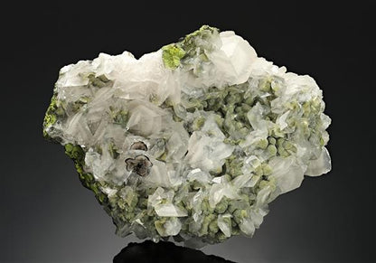 CC16188 specimen image