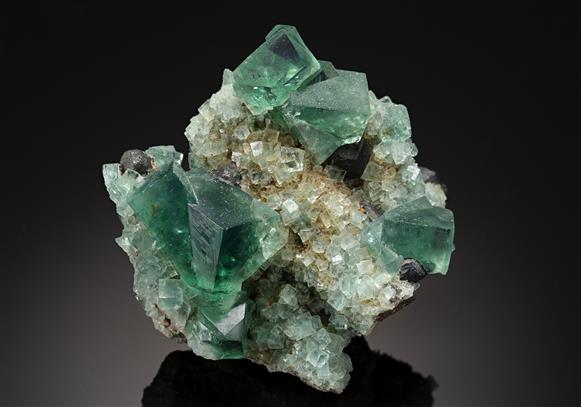 CC16265 specimen image