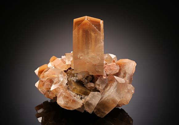 CC16366 specimen image