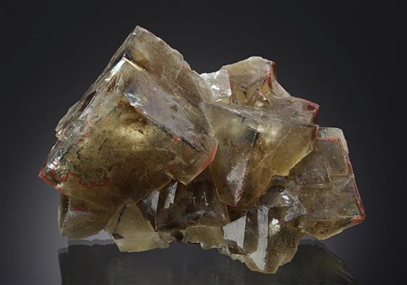CC16376 specimen image