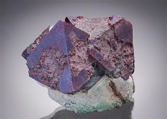 CC1640 specimen image