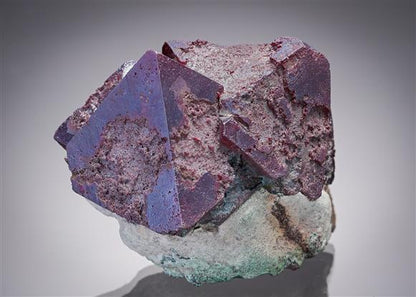 CC1640 specimen image