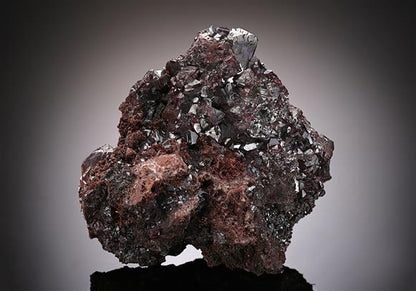 CC16408 specimen image