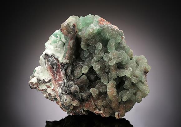 CC16411 specimen image