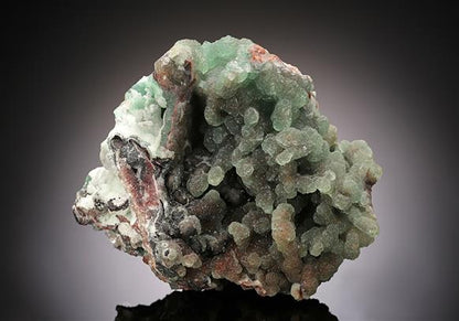 CC16411 specimen image